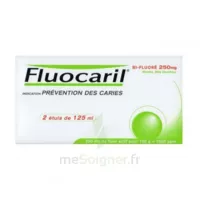 Fluocaril Bi-fluoré 250 Mg Pâte Dentifrice Menthe 2t/125ml à Ustaritz